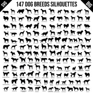 Op de afbeelding: Een zwart-witte illustratie van 147 verschillende hondenrassen in silhouetvorm. De silhouetten zijn gerangschikt in rijen en kolommen, met de naam van het ras onder elk silhouet.