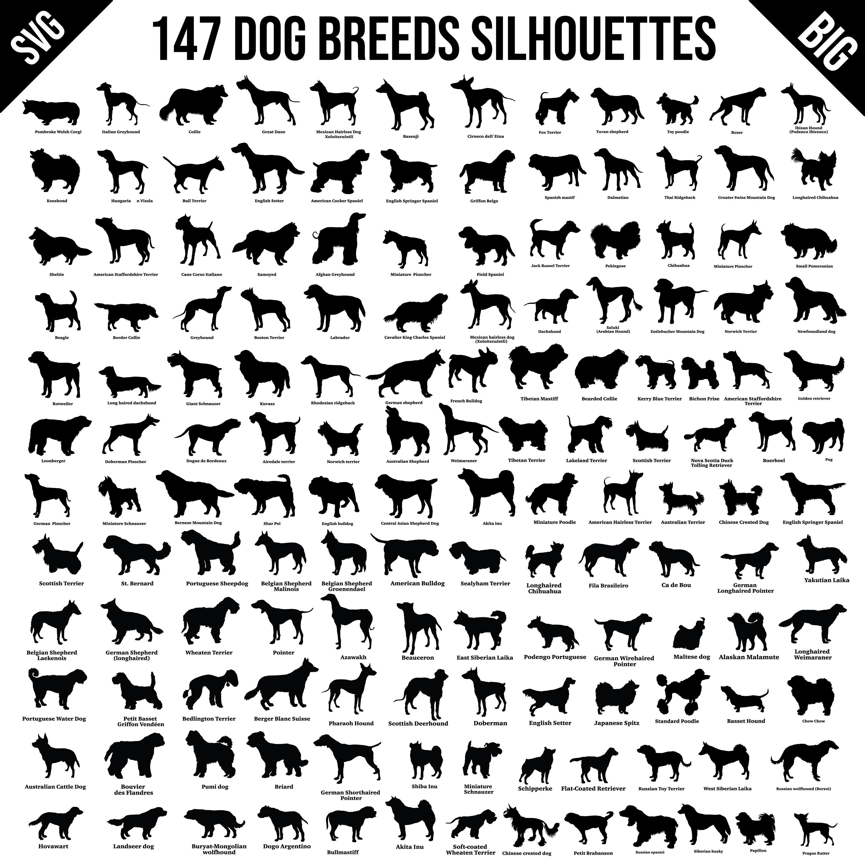 犬種のシルエット SVG バンドル – 147 種類の犬種のクリップアート