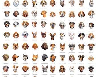 80 Dog Breeds Cartoon Clipart, Vector SVG PNG Bundle