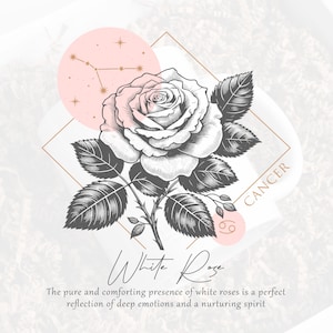 Pacote com 12 Flores do Zodíaco de Nascimento em PNG, Tatuagem de Flores do Zodíaco de Nascimento, Dia das Mães em SVG, Estrelas e Flores em PNG, Astrologia em PNG, Flores de Nascimento