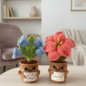 May include: Two crocheted potted plants with smiling faces. The left plant has blue bell-shaped flowers and a sign reading A little plant for a big thank you. The right plant has a large coral flower and a sign reading Custom Text. Both have brown pots.