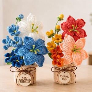 Peut inclure: Deux arrangements floraux au crochet dans des pots tissés. L'un présente des fleurs bleues et blanches, l'autre rouges et pêche. Chaque pot a une étiquette avec du texte. Le pot de gauche dit "KEEP GROWING STRONG" et celui de droite "THANK YOU".
