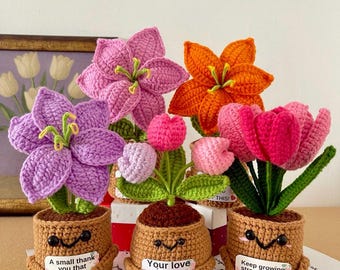 Geschenk für einen Mitarbeiter - Geschenk zur emotionalen Unterstützung - Häkeln Sonnenblume, Vergissmeinnicht - Arbeitskollegen Geschenk