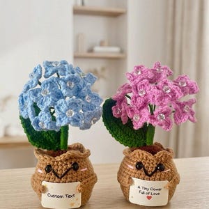 May include: Two crocheted potted plants with light blue and pink flower clusters, green leaves, and brown textured pots. Each pot features a smiling face with black eyes and holds a white sign. One sign reads Custom Text, the other A Tiny Flower Full of Love.