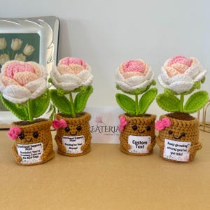 Op de afbeelding: Vier handgemaakte gehaakte bloempotten. Elke pot heeft een lachend gezicht, een roze strik en een wit label met tekst. De bloemen zijn wit en roze, met groene bladeren en stelen. De potten zijn bruin.