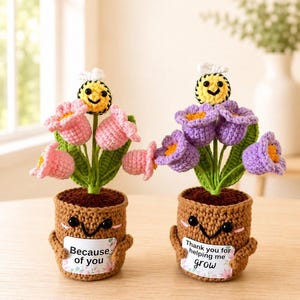 May include: Two crocheted potted plants with smiling faces. One pot holds pink flowers and a bee, with a sign reading "Because of you". The other pot holds purple flowers and a bee, with a sign reading "Thank you for helping me grow".