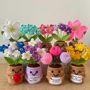 Peut inclure: Une collection de neuf fleurs en crochet en pot avec des visages souriants sur les pots. Certains pots portent des panneaux avec le texte Keep growing you've got this, Because of you, et Thank you for everything. Les fleurs sont blanches, bleues, roses, violettes et jaunes.