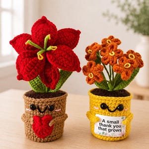 May include: Two crocheted potted plants with smiling faces. The left plant has a large red flower and a brown pot holding a red heart. The right plant has orange flowers in a yellow pot holding a sign that reads A small thank you that grows.