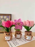 Personalized Gift – Crochet Flower Pot Decor – Encouragement Gift – Emotional Support Gift – Mental Health Desk Decor product logo