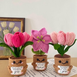 May include: Three crocheted flower arrangements in shades of pink. Each flower has green stems and leaves, and is planted in a brown pot with a smiling face. The pots have small signs with messages like "Thank you for helping me grow" and "Because of you I grew".