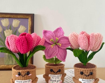 Cadeau personnalisé - Décoration de pot de fleur au crochet - Cadeau d'encouragement - Cadeau de soutien émotionnel - Décoration de bureau sur la santé mentale