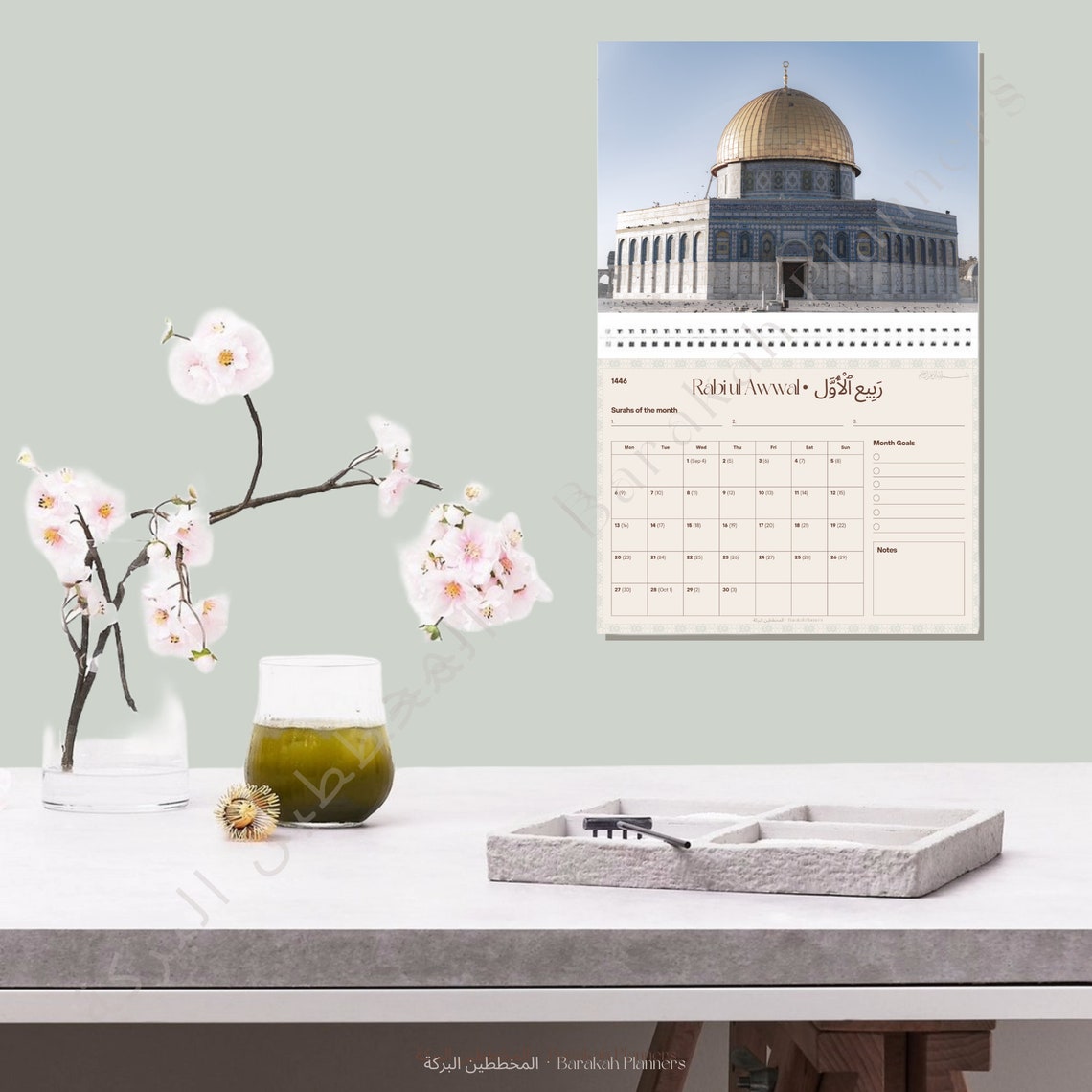 1446 2025 visual data 7