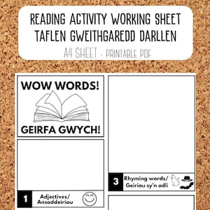 May include: Black and white printable worksheet with the title "Reading Activity Working Sheet" and "Taflen Gweithgaredd Darllen". The worksheet has a book icon and the text "Wow Words! Geirfa Gwych!"  The worksheet has three sections labeled 1, 2, and 3. Section 1 has the text "Adjectives/Ansoddeiriau" and a smiley face icon. Section 3 has the text "Rhyming words/Geiriau sy'n odli" and icons of a cat, a hat, and a bat.