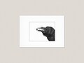 Third Eye Raven  Art Print — Black and White Ink Drawing product logo