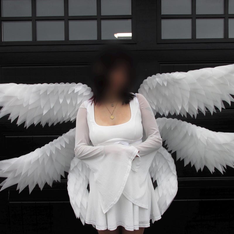 Angel Wings - Extra Large