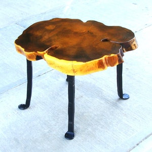 May include: A wooden coffee table with a natural wood top and black metal legs. The table top is a thick slice of wood with a natural edge.