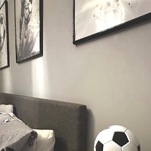 Echo Dot 5th gen football cover case