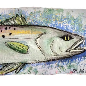 10x20 &quot;Speckled Trout&quot; (FISH) - PRINT MATTED to fit 10x20 frame