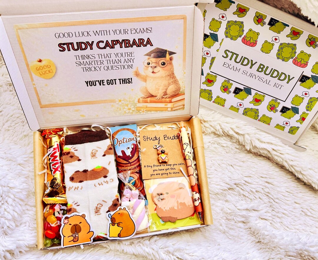 Study Buddy Capybara Gift Box, Exam Support Hamper, GCSE Gift, A Level ...