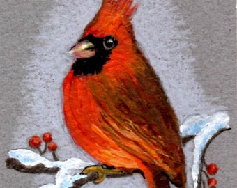 ACEO Cardinal Print of Original colored pencil and acrylic