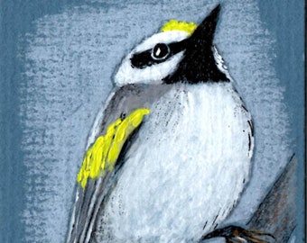Stampa ACEO di "Golden-Winged Warbler"