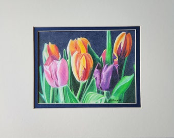 Tulips 5x7 colored pencil matted