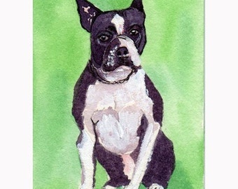 ACEO print  Boston Terrier