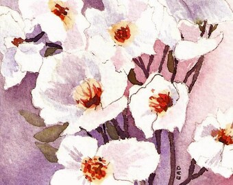 ACEO "Poppies Bianchi" Stampa dell'acquerello originale