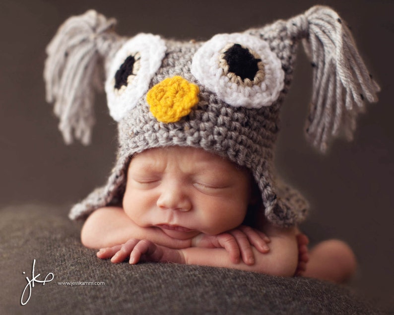 PDF PATTERN CROCHET Tweedy Owl Hat image 1