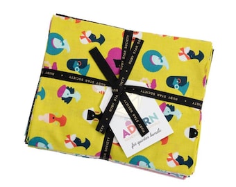 Adorn & Zip fat quarter bundle by Rashida Coleman Hale for Ruby Star Society, 30 precut fat quarter bundle, modern fabric original packaging