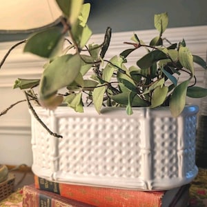 May include: A rectangular white ceramic planter featuring a raised, textured basket-weave pattern on its exterior sides and vertical bamboo-style detailing at the corners, containing a green leafy plant with thin, woody stems.