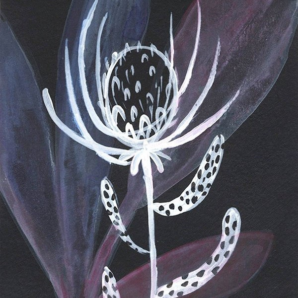Thistle White on Black - Flora, Stricking, High Contrast, Print - 5x7