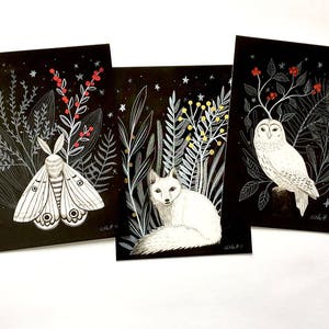 Jeu de cartes postales - Animal noir et blanc avec flore - 3 cartes postales, illustration aquarelle, renard blanc, harfang des neiges, papillon de nuit, fruits rouges, or