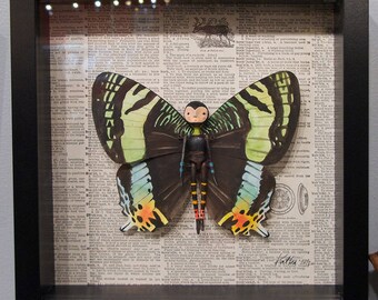 Fausse taxidermie, Custom Butterfly Person, steampunk, art mural 3D, poupée d’art, entomologie fantastique