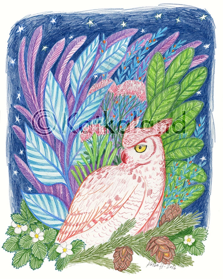 Owl and Flora - 8x10 PRINT, barn owl, Plants, stars, night sky, Art Illustration, Color Pencil Drawi