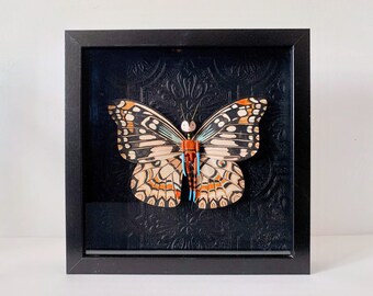 Faux Taxidermy, Butterfly Person, 3D wall art, art doll, fantastical entomology