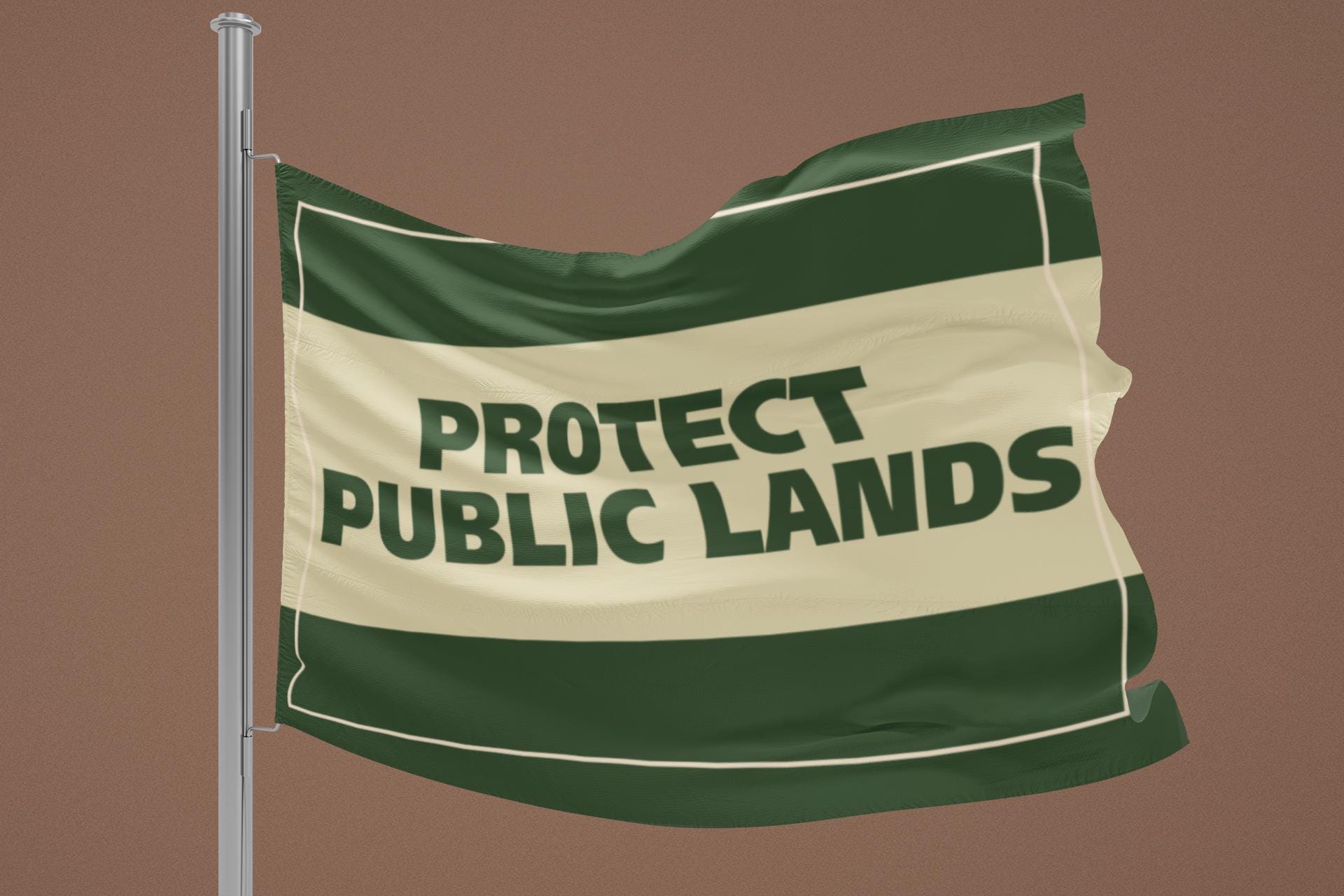 Protect Public Property Example Protect Public Lands Flag | Protest Banner | Environmental Activism ...