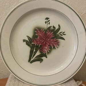 May include: A white ceramic plate with a green rim and a floral design. The design features a pink flower with green leaves and stems.