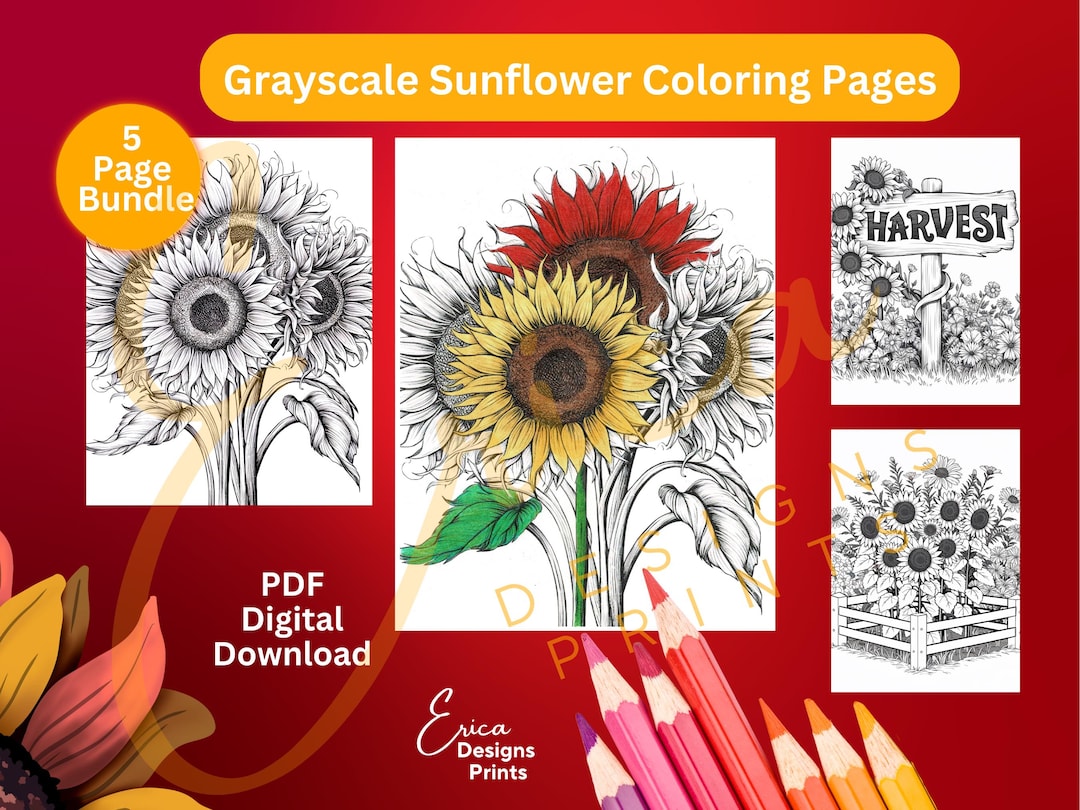 Sunflower Coloring Pages | 5 Grayscale Art Designs (PDF Printables) - Etsy