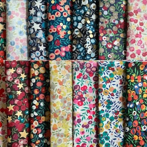 Liberty Japan - Sparkle Wiltshire Mini set of 14