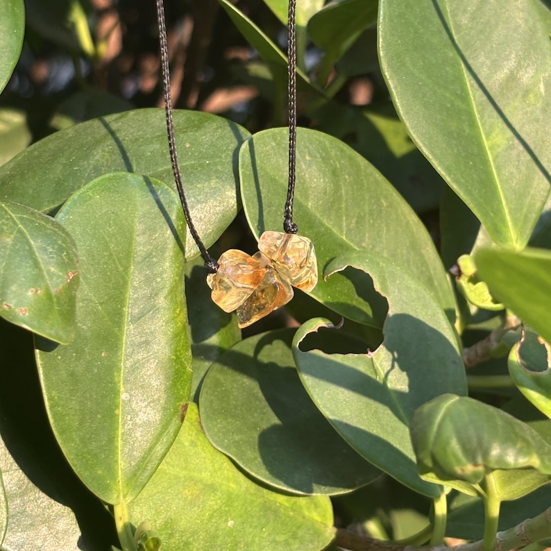May include: A close-up of a necklace with two yellow-brown crystal stones on a black cord. The necklace is hanging from a green leafy branch.