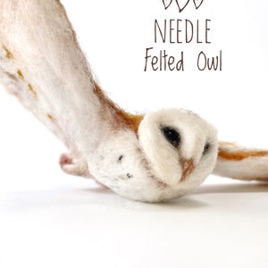 Needle Felt Owl, Barn Owl Art, Soft Sculpture, Bird Taxidermy Art Gift, Birdwatcher Gift, Nature Lover Gift image 1