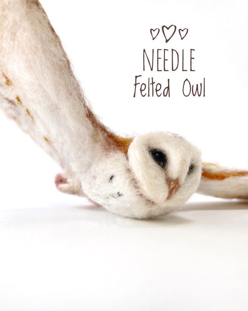 Needle Felt Owl, Barn Owl Art, Soft Sculpture, Bird Taxidermy Art Gift, Birdwatcher Gift, Nature Lover Gift image 1