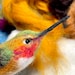 see more listings in the Needle Felt Animals section