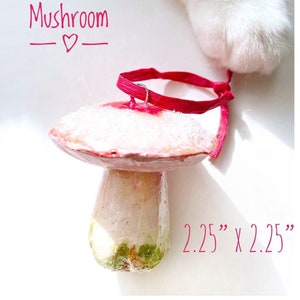 SALE. Mushroom Ornament, Clay Gift Set, Home Decor Gift, Fungi Chef Gift, Kitchen Gift image 4