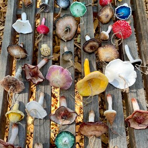 multi colored mushroom ornaments as seen from above