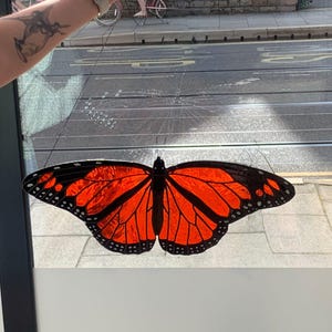 Beautiful stained glass butterfly