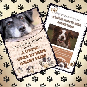 Senior Dog Care eBook, Complete Guide to Caring for Your Aging Dog, Printable Planner, High Quality, Pet Book, Easy to Use, Complete Guide