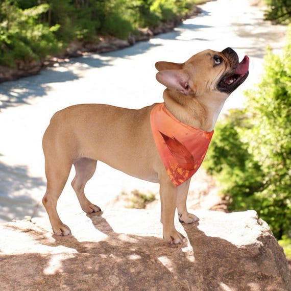 Pumkin Spice Pet Bandana, Autumn Dog Scarf, Fall Cat Neckwear, Seasonal Pet Gift, Thanksgiving Accessories
