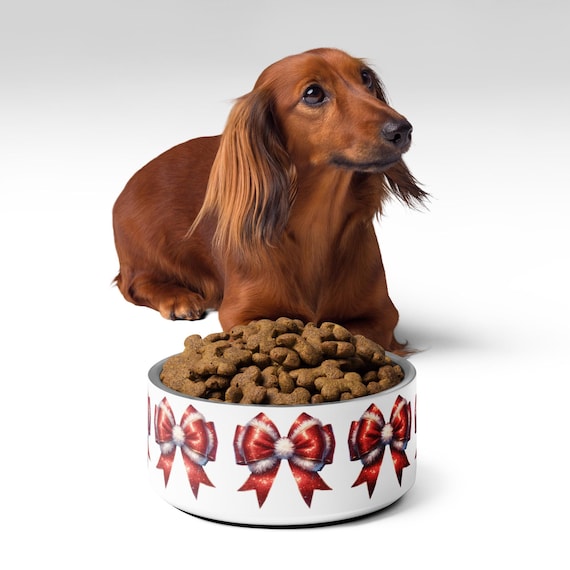 Christmas Pet Bowl with Red Ribbon, Unique Holiday Pet Dish, Trendy Christmas Dog Bowl, Cat Bowl, Festive Pet Supplies, Pet Accessories